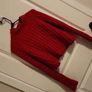 Barely Worn American Eagle cropped sweater